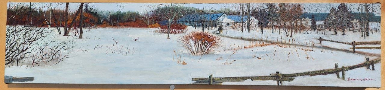 Hiver au Québec (Demaine Maizerets)