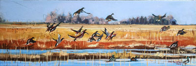 Autumn Migration