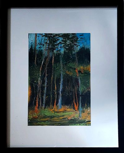 Forest Light