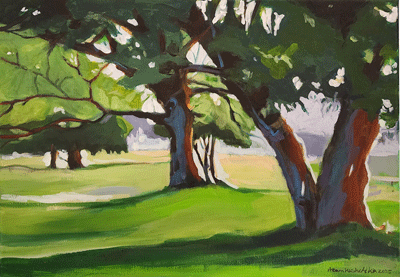 Nature in Spring